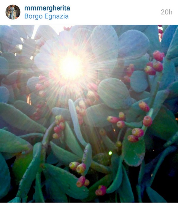 margherita missoni insta life 4