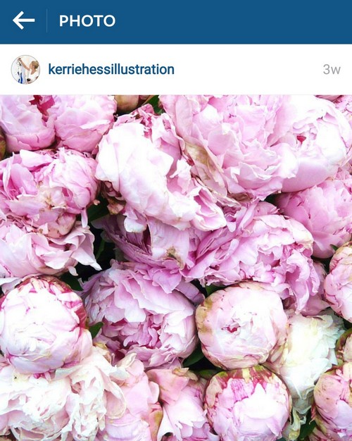 INSTA LIFE KERRIE HESS 24