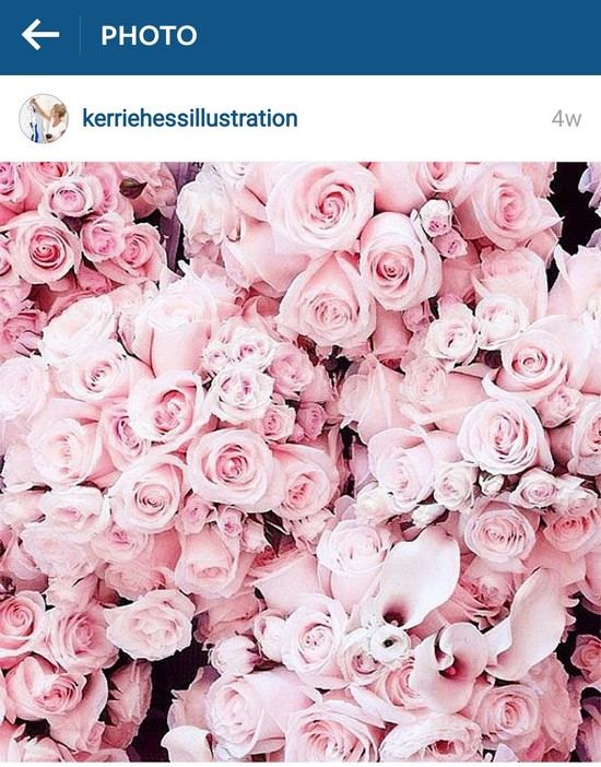 INSTA LIFE KERRIE HESS 30
