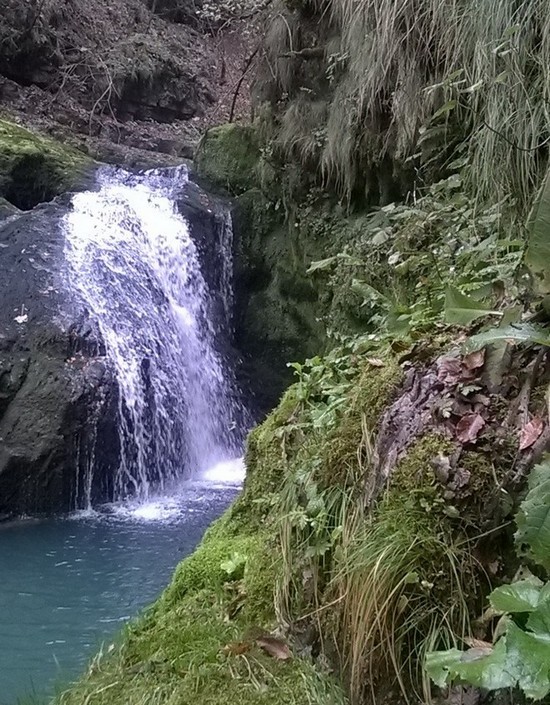 WP 20141008 15 22 39 Smart cr