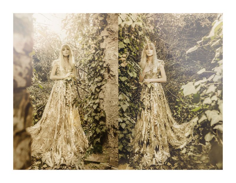 Moonlight Sunlight 5