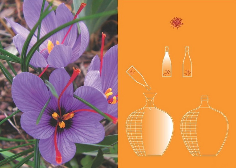 PLB katalog-final MZ 21