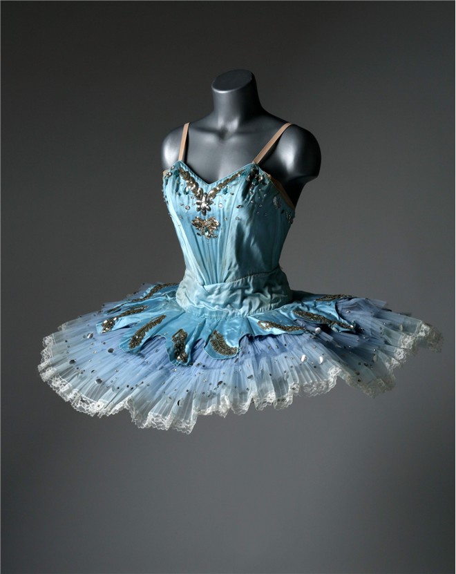 DPP 0003-Copy-813x1024