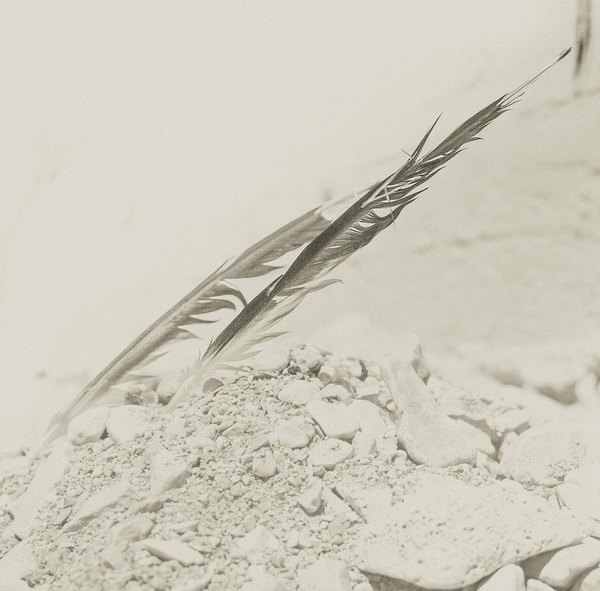 perca sveti petar 00