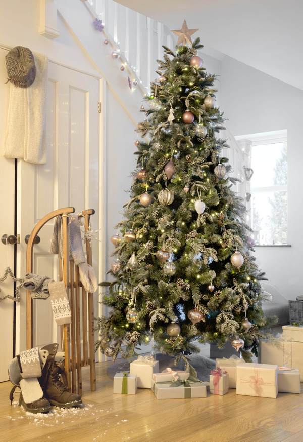 PA homebase 312921517072933