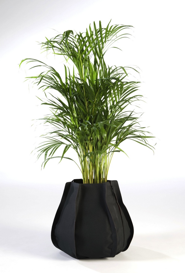 URBAN GARDEN 7120226 PLANT SACK M BLACK SMALL PALM TREE