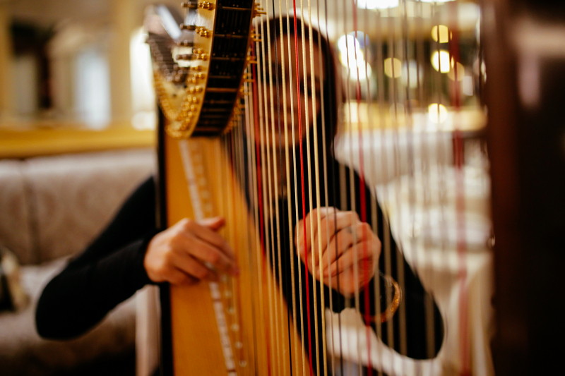 From Dusk Till Dawn Collection