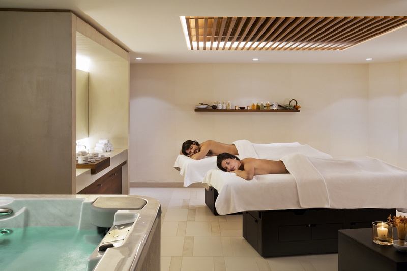 lesneiges bar FabriceRambert