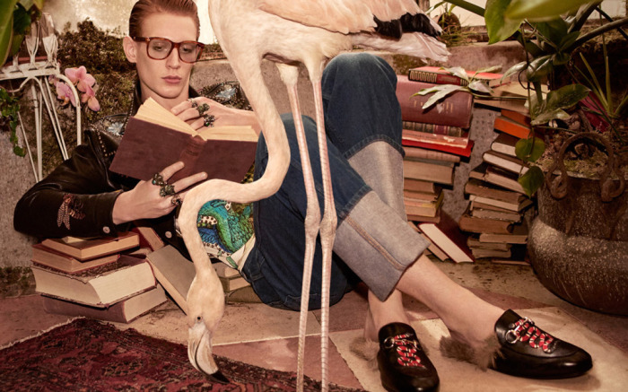 gucci pre fall 2016 ad campaign 3