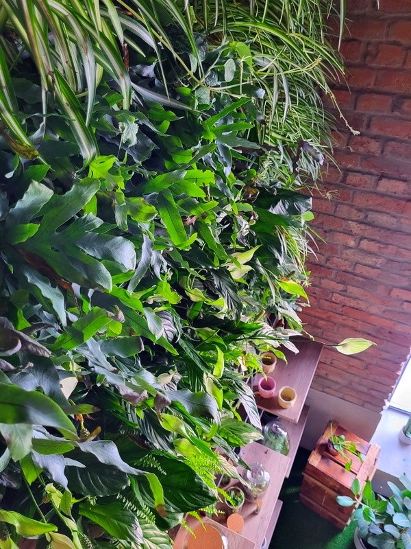 vertikalni vrtovi hortiart3