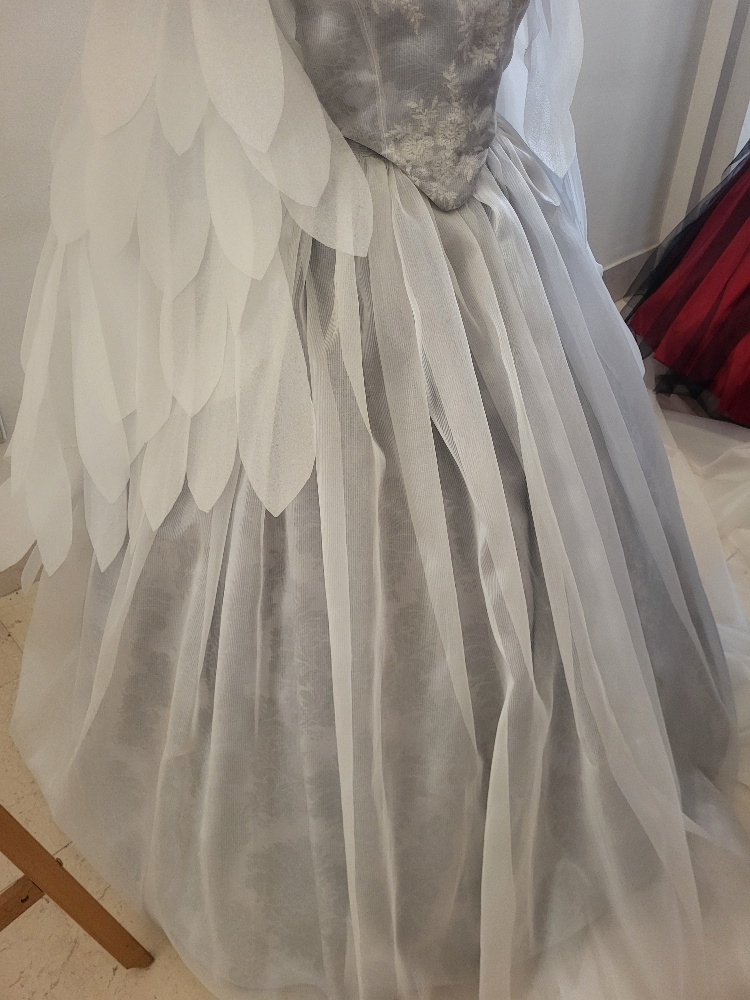 20250228 120448 resized