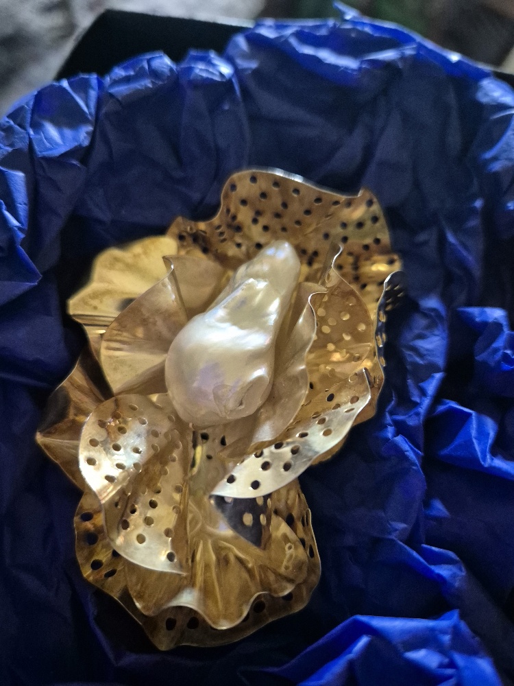 20250626 111159 resized