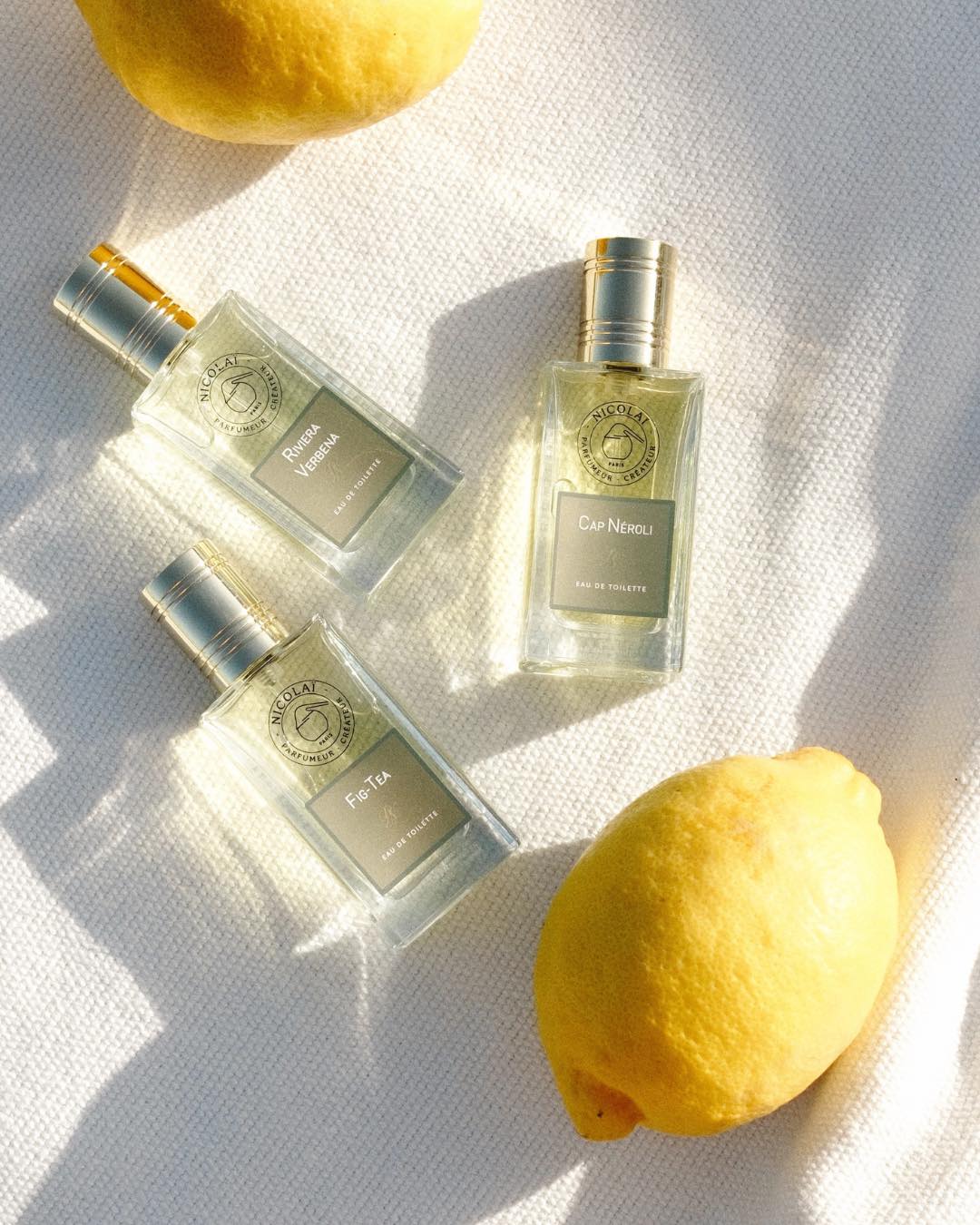 SnapInsta.to 503734412 1093893599429319 249066639395441394 n