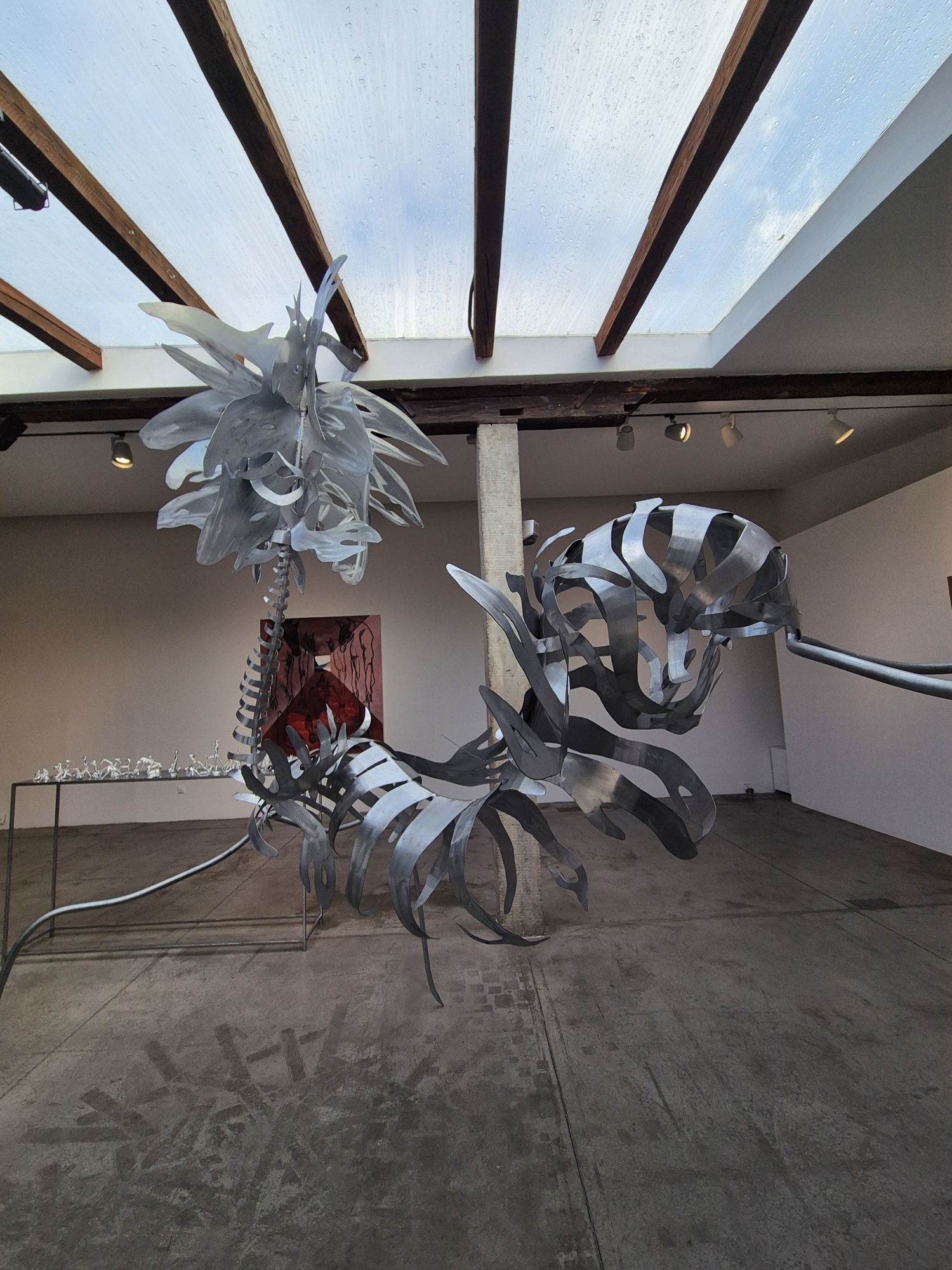 20251120 110532 resized