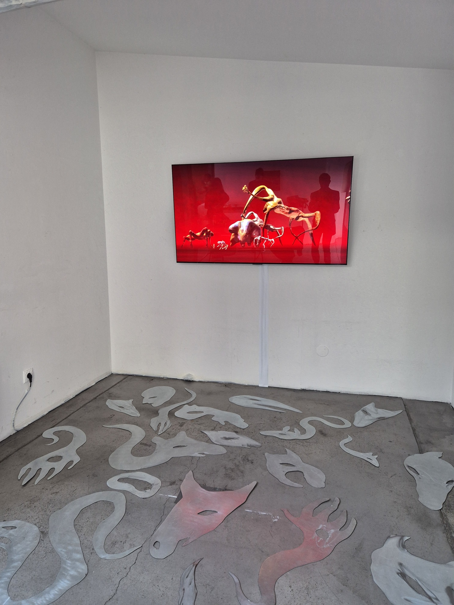 20251120 120007 resized