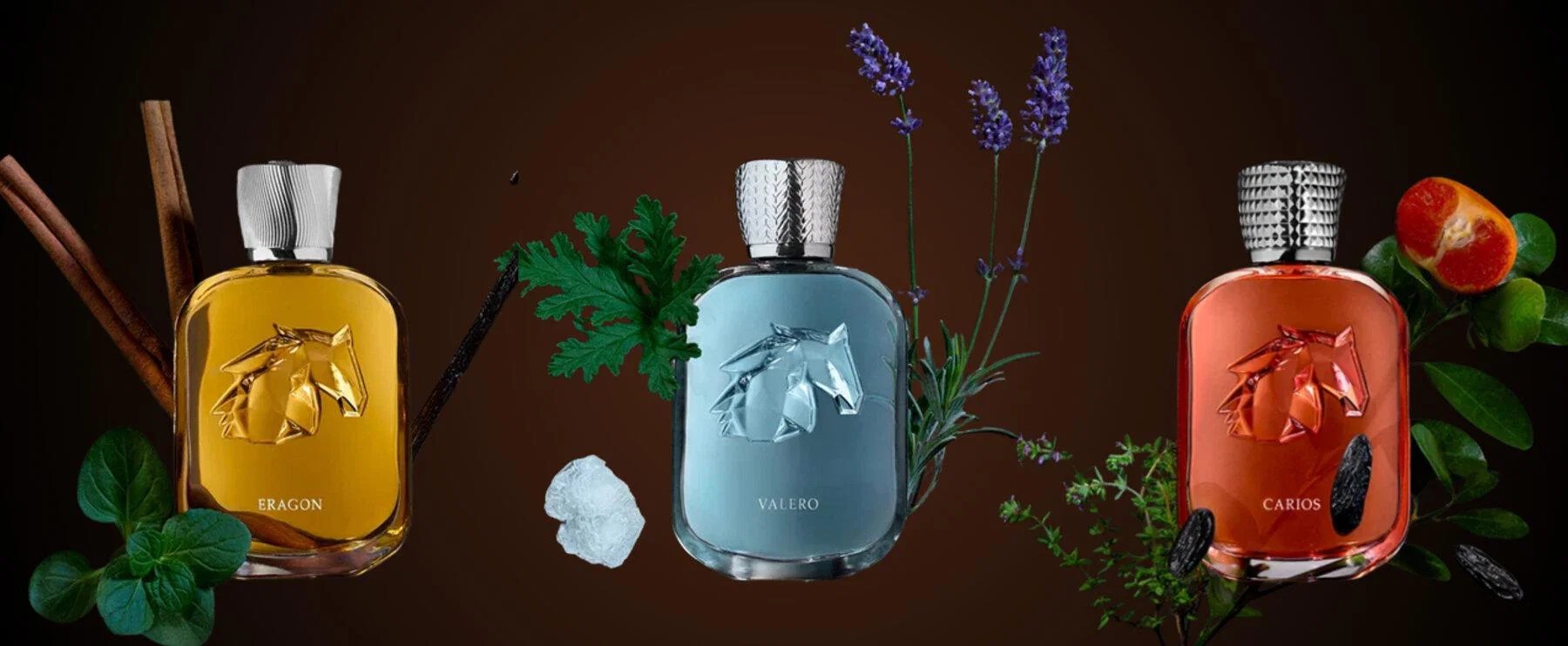 p de marly les extraits