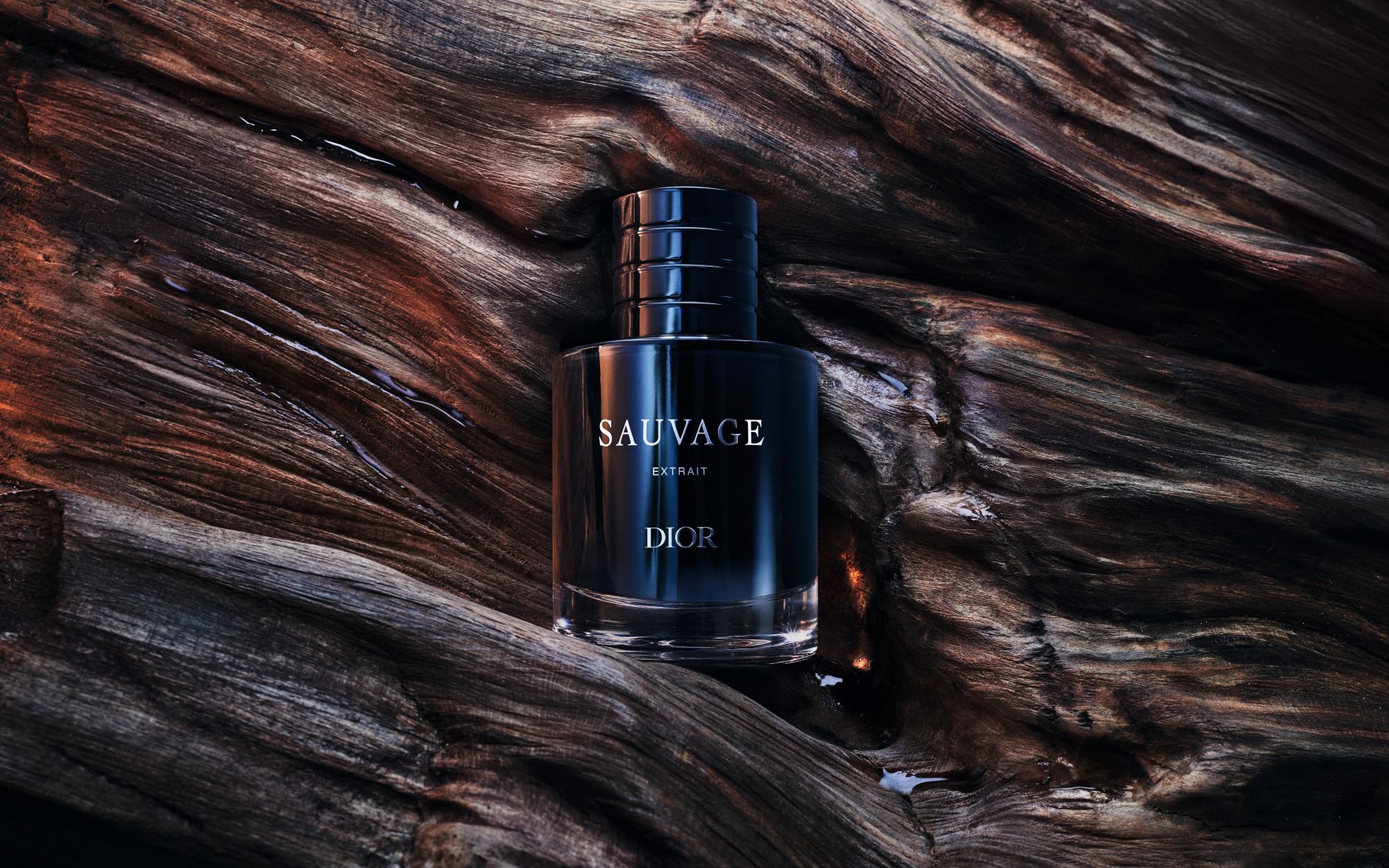 F103 SAUVAGE EXTRAIT 26 P01A Hero EXTRAIT V14 SW F39