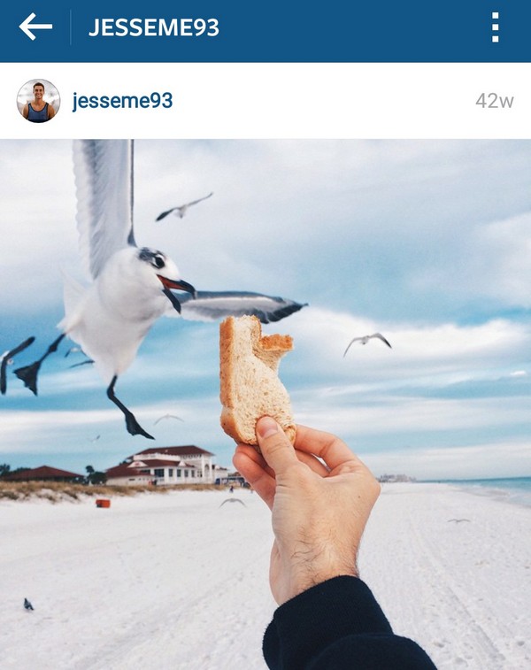 INSTALIFE JESSEME93 36