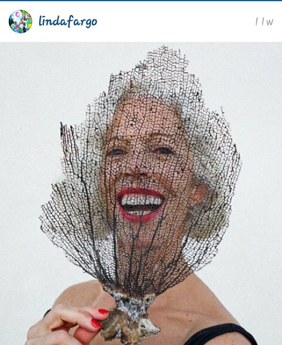 INSTA LIFE LINDA FARGO 50