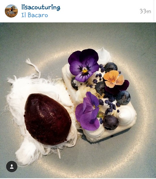 INSTA LIFE LISA COUTURING4