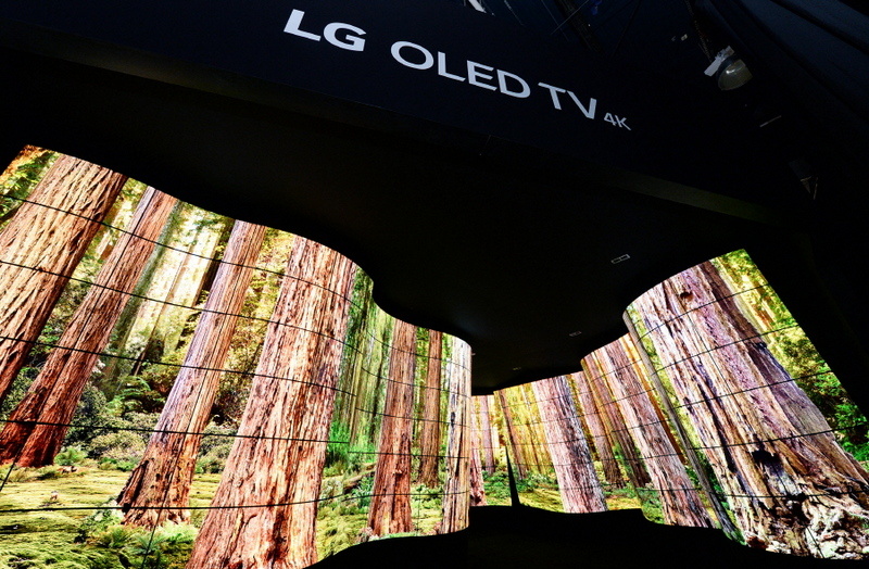 LG OLED Canyon 1