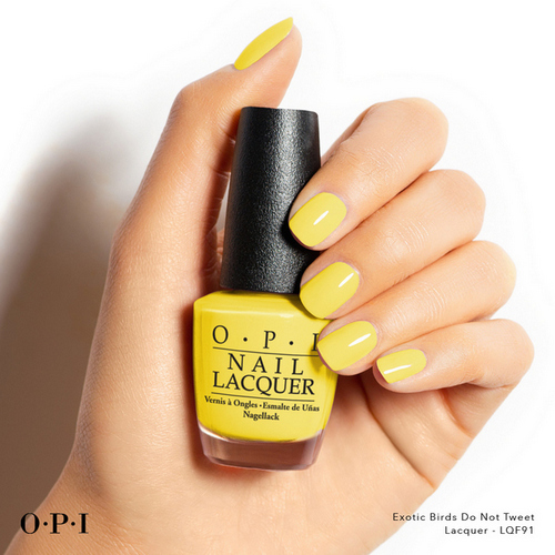 dorothyperkins 714594