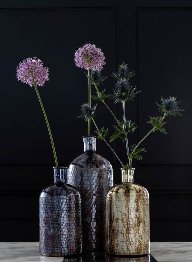 cuckooland 876247 cr