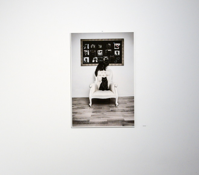 Dzenisa Pecotic photo by Juraj Vuglac