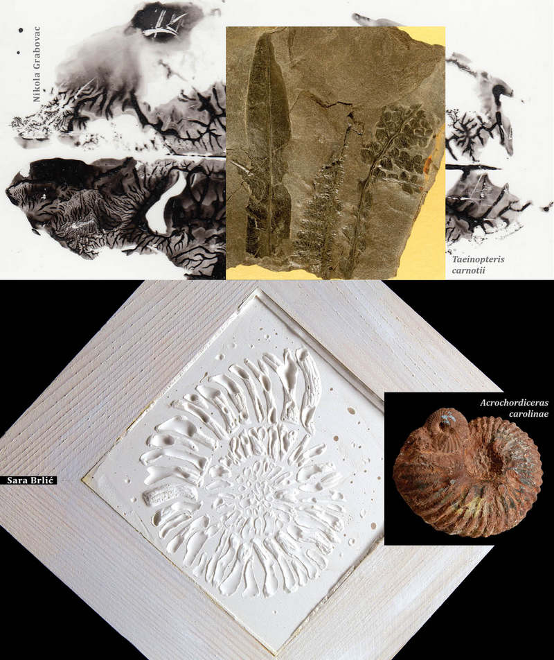 HRVATSKI PRIRODOSLOVNI MUZEJ FOSILI1