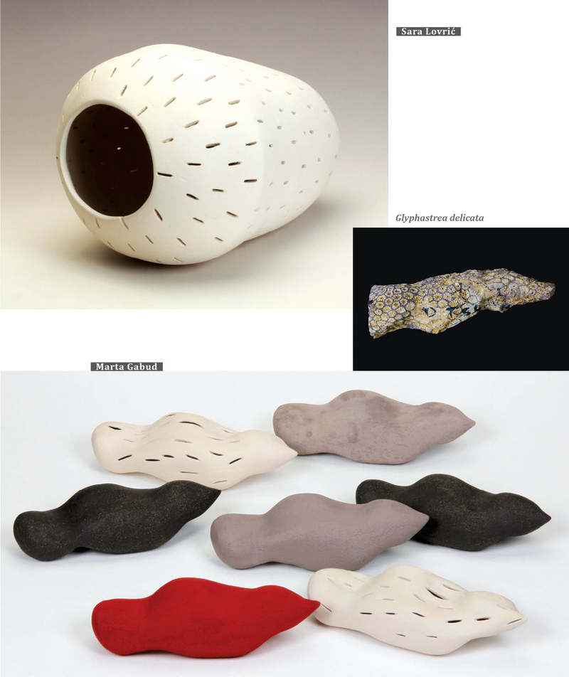 HRVATSKI PRIRODOSLOVNI MUZEJ FOSILI1