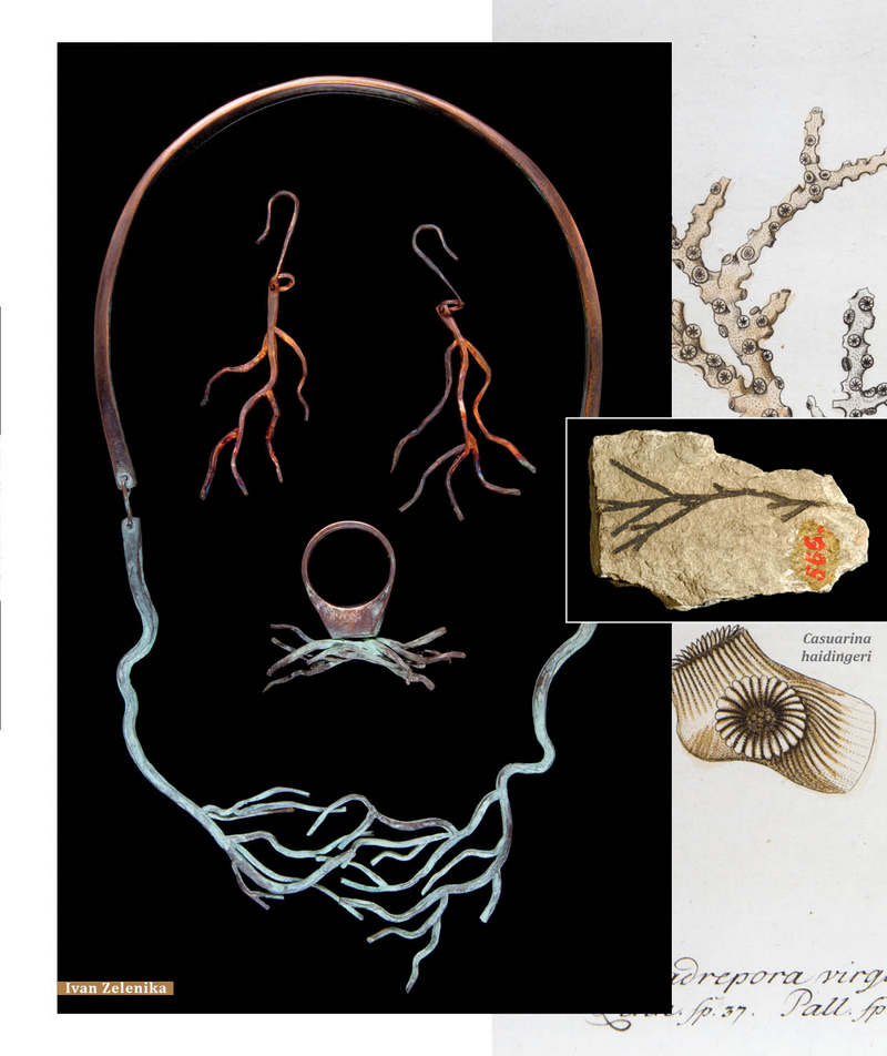 HRVATSKI PRIRODOSLOVNI MUZEJ FOSILI1