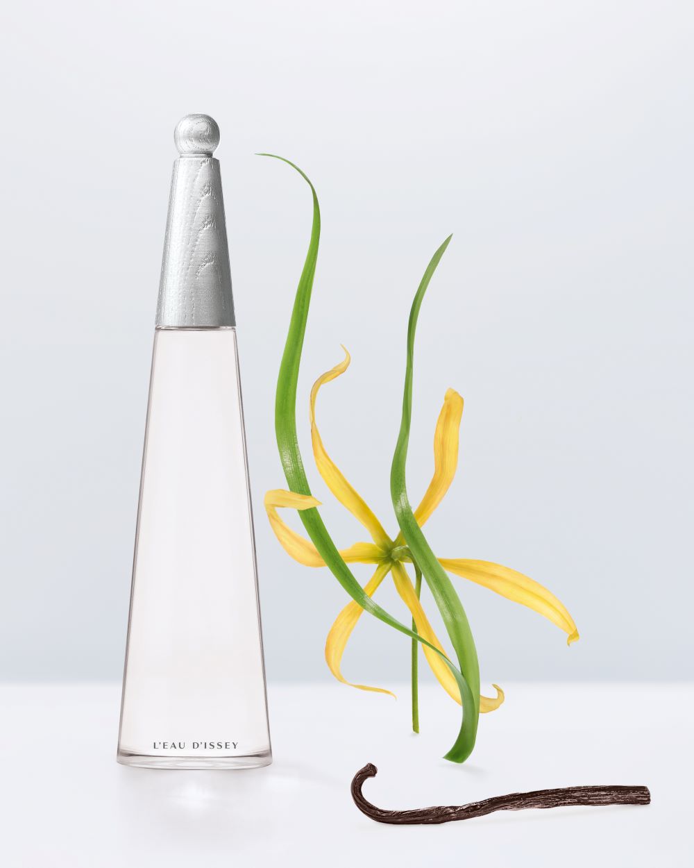 EI EDPI 2025 pyramid creative visual RVB 4X5 300dpi