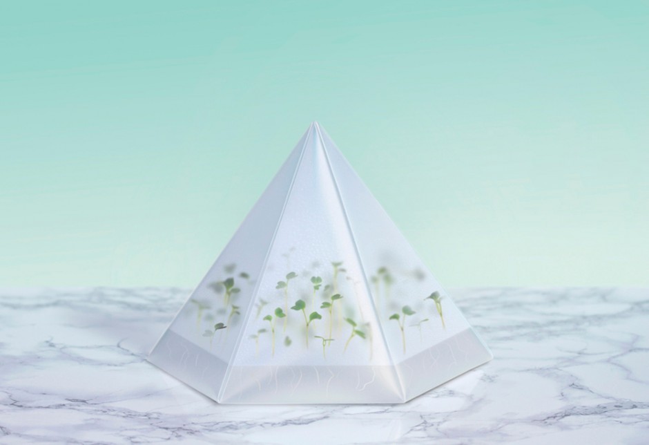 INFARM MICROGARDEN 2