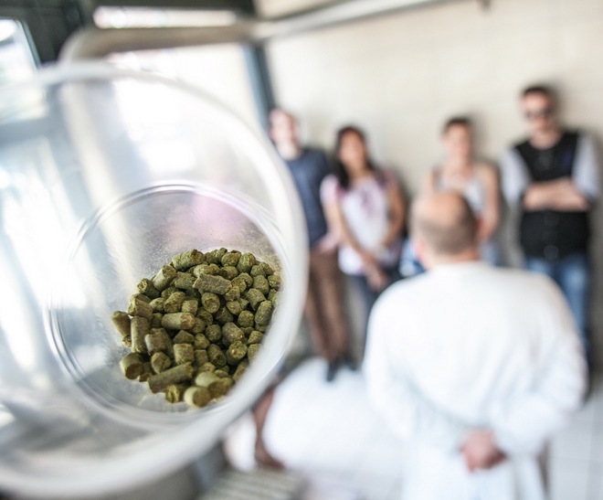 Sff Medvedgrad 160415-13 cr