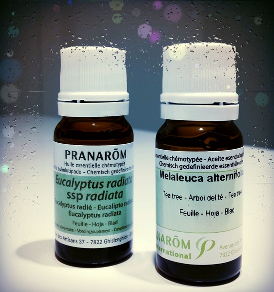 PHTOGO BAKTERIJE I VIRUSI 22