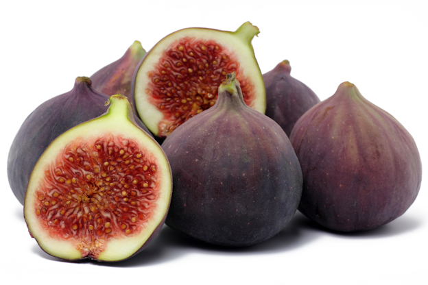 Fig