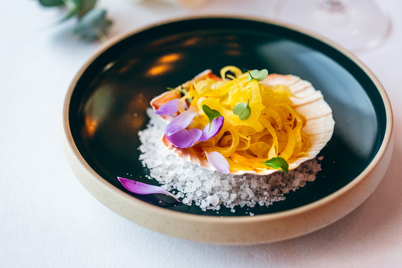 Školjke svetog Jakova gel od maslinovog ulja 5