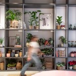 Biljke.Plants otvorio novi zeleni concept store s potpisom studija 9HZ BILJKE.PLANTS BY 9HZ1